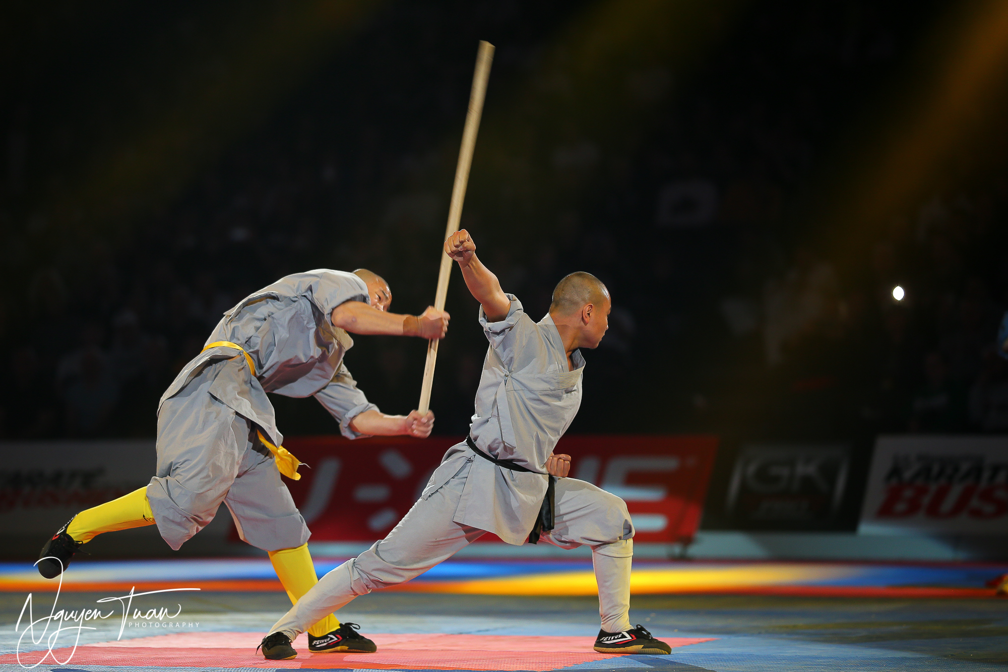 20190324 Festival des Arts Martiaux 5639